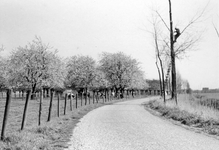 841033 Gezicht op de Smidsdijk bij Cothen.